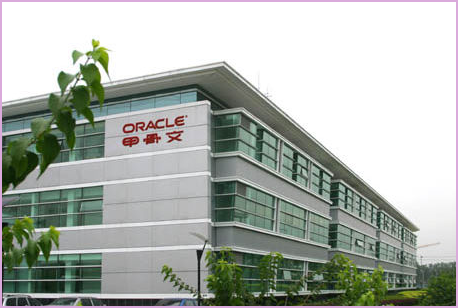 为什么oracle公司的中文名称是甲骨文？